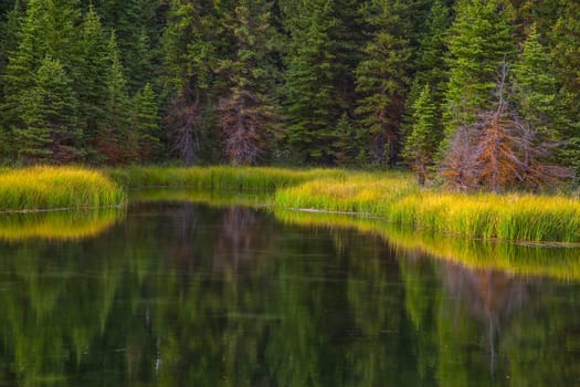 A pond reflects the landscape near Grand Teton National Park, Wyoming