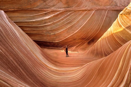 Unusual rock formations produced through millions of years of erosion form the landscape at the Coyoter Buttes North, Arizona