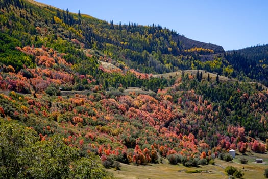 Fall colors have arrived in the countryside in Southern Utah