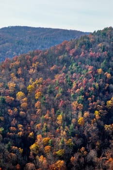 Fall colors have arrive along Virginia's Blue Ridge Parkway.