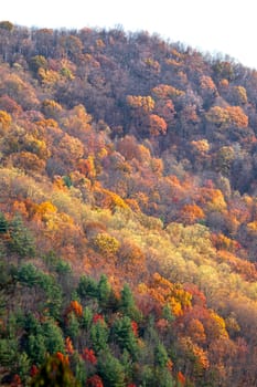 Fall colors have arrive along Virginia's Blue Ridge Parkway.