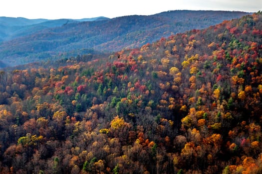 Fall colors have arrive along Virginia's Blue Ridge Parkway.