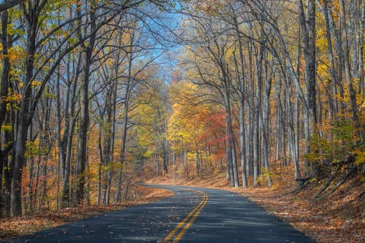 Fall colors have arrive along Virginia's Blue Ridge Parkway.