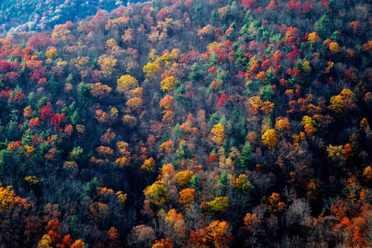 Fall colors have arrived to Virginia's Shenadoah National Park and the surrounding countryside.