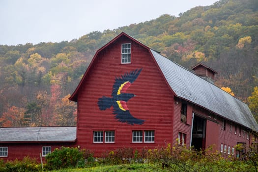 Fall colors have arrived at a farm in rural  Vermont