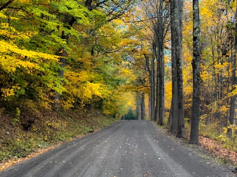 Fall colors have arrived to the Vermont countryside.