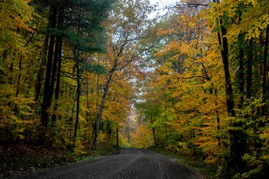 Fall colors have arrived in rural Vermont.