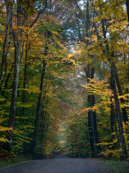 Fall colors have arrived in rural Vermont.