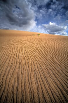 Verticle lines appear in the sand due to erosion at Great Sand Dunes National Park, Colorado
