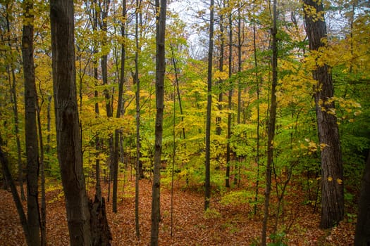 Fall colors have arrived in rural Vermont.