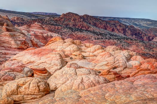 Unusual sandstone rock formation produced through erosion are the feature at The Wave at Coyote Buttes North  in the Vermilion Cliffs National Monument, Arizona