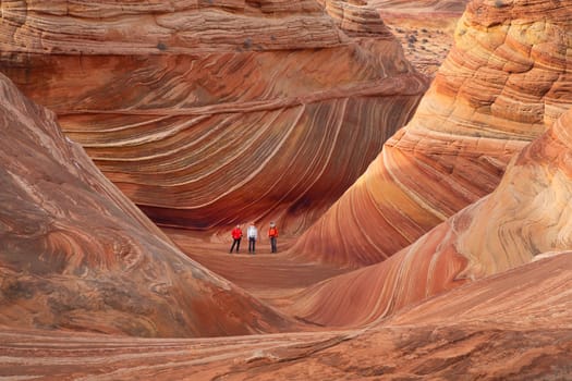 Unusual sandstone rock formation produced through erosion are the feature at The Wave at Coyote Buttes North  in the Vermilion Cliffs National Monument, Arizona