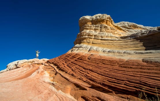 Unusual sandstone rock formations are the main feature at White Pocket at Vermilion Cliffs National Monument, Arizona.