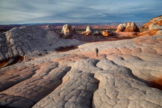 A photographer shoots the unusual rock formations produced through millions of years of erosion form the landscape at White Pocket at Vermilion Cliffs National Monument, Arizona