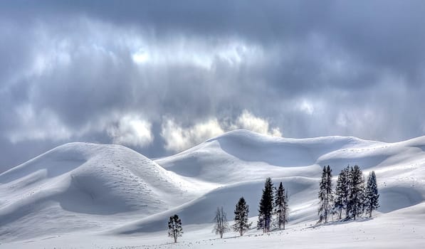 WINTER STORM CLOUDS ENTER HAYDEN VALLEY AT YELLOWSTONE NATIONAL PARK,WYOMING