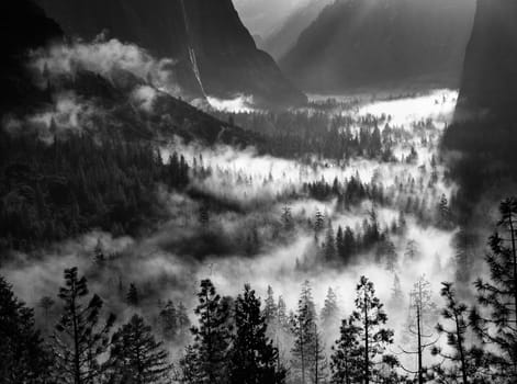 Fog rolls into Yosemite Valley at Yosemite National Park, California