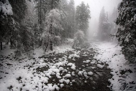 Fresh snow has fallen at Yosemite Valley National Park, California