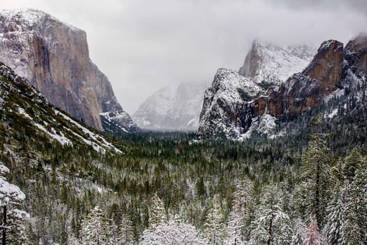 Fresh snow has fallen at Yosemite Valley National Park, California