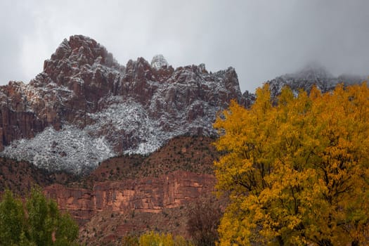 Fall colors and fresh snow have arrived at Zion National Park, Utah