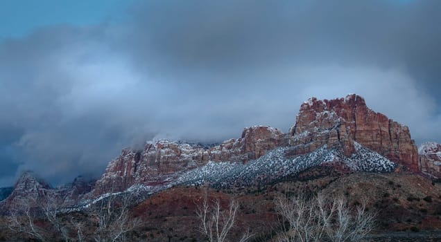 Fresh snow has fallen in Zion Canyon at at Zion National Park, Utah