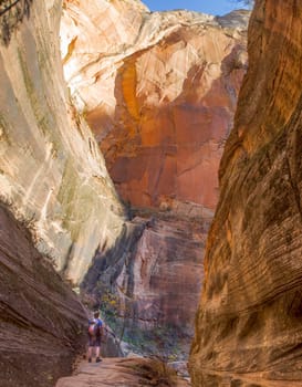 Fall colors have arrived at Echo Canyon at Zion National Park, Utah