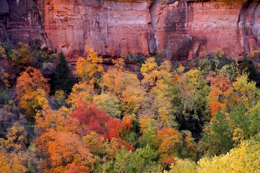 Autumn has arrived at Zion National Park, Utah