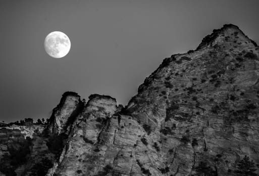 A full moon rises over the Kolob Terrace area of Zion National Park, Utah