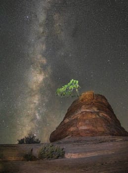 The Milky Way at Zion National Park, Utah