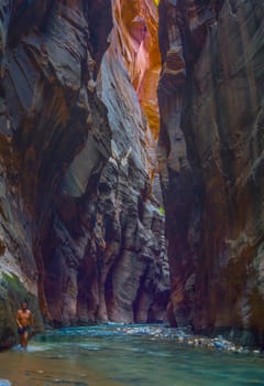 The Virgin River carves its way through The Narrows at Zion National Park, Utah