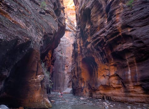 Hikers  travel through the steep canyon walls at The Narrows at Zion National Park, Utah