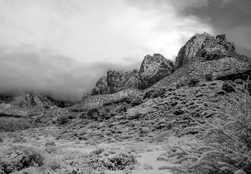 Fresh snow has fallen in Zion Canyon at at Zion National Park, Utah