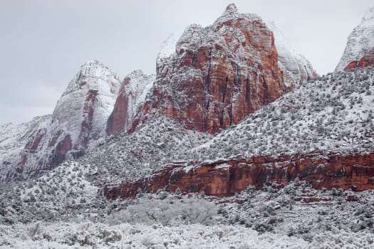 Fresh snow has fallen in Zion Canyon at at Zion National Park, Utah