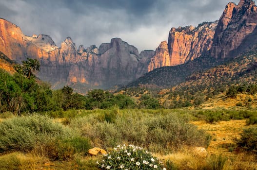 Monsoonal moisture has arrived during the hot summer at Zion National Park, Utah