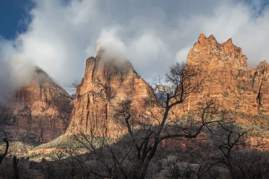 Fresh snow and rain have fallen in Zion Canyon at at Zion National Park, Utah