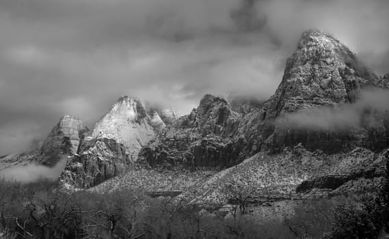 Fresh snow has fallen at Zion National Park, Utah