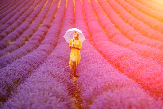 Woman lavender field. A middle-aged woman in a lavender field walks under an umbrella on a rainy day and enjoys aromatherapy. Aromatherapy concept, lavender oil, photo session in lavender.