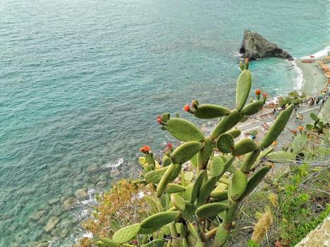 Pictoresque village of cinque terre italy aerial view panorama