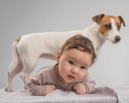 Portrait of a baby lying on his stomach and a Jack Russell Terrier dog