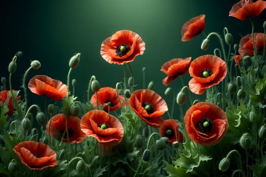 Blooming red poppies on a green background .