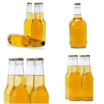 beer isolated on a white background