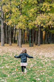 Little girl walks along fallen dry leaves in the autumn forest. Back view. High quality photo