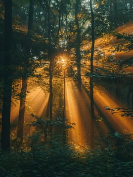 Sunlight filtering through dense forest trees, capturing a mystical and ethereal mood.