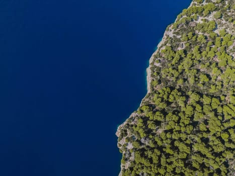 Rocky coast and pine forest by sea in Dugi Otok island, drone top view of Telascica National Park, Croatia