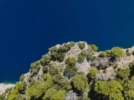 Drone aerial view of green trees growing on rocks by sea in Dugi Otok island, Telascica National Park, Croatia
