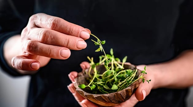 Girl hands holding bowl with microgreen sprouts closeup. Woman with natural organic eco fresh plants