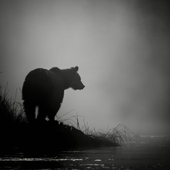 Gloomy photo of a bear on the river. High quality photo