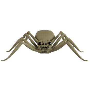 Spider isolated on white background. High quality 3d illustration