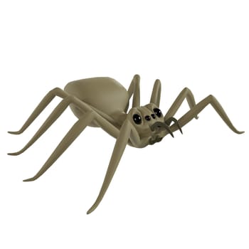 Spider isolated on white background. High quality 3d illustration