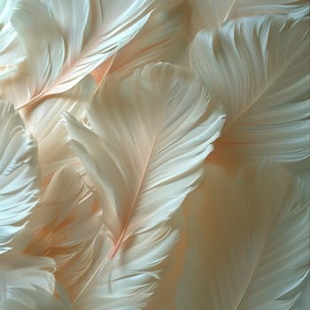 Close-up of feathers in soft light, great for texture and delicate design projects.