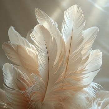 Close-up of feathers in soft light, great for texture and delicate design projects.